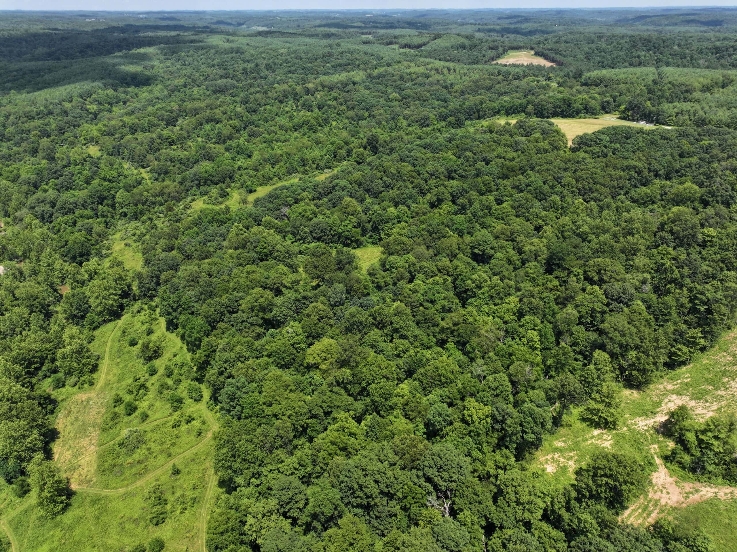Dream Turnkey Morgan County Hunting Property