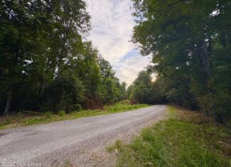 57 Acres Hunting Land for Sale in Gloster MS