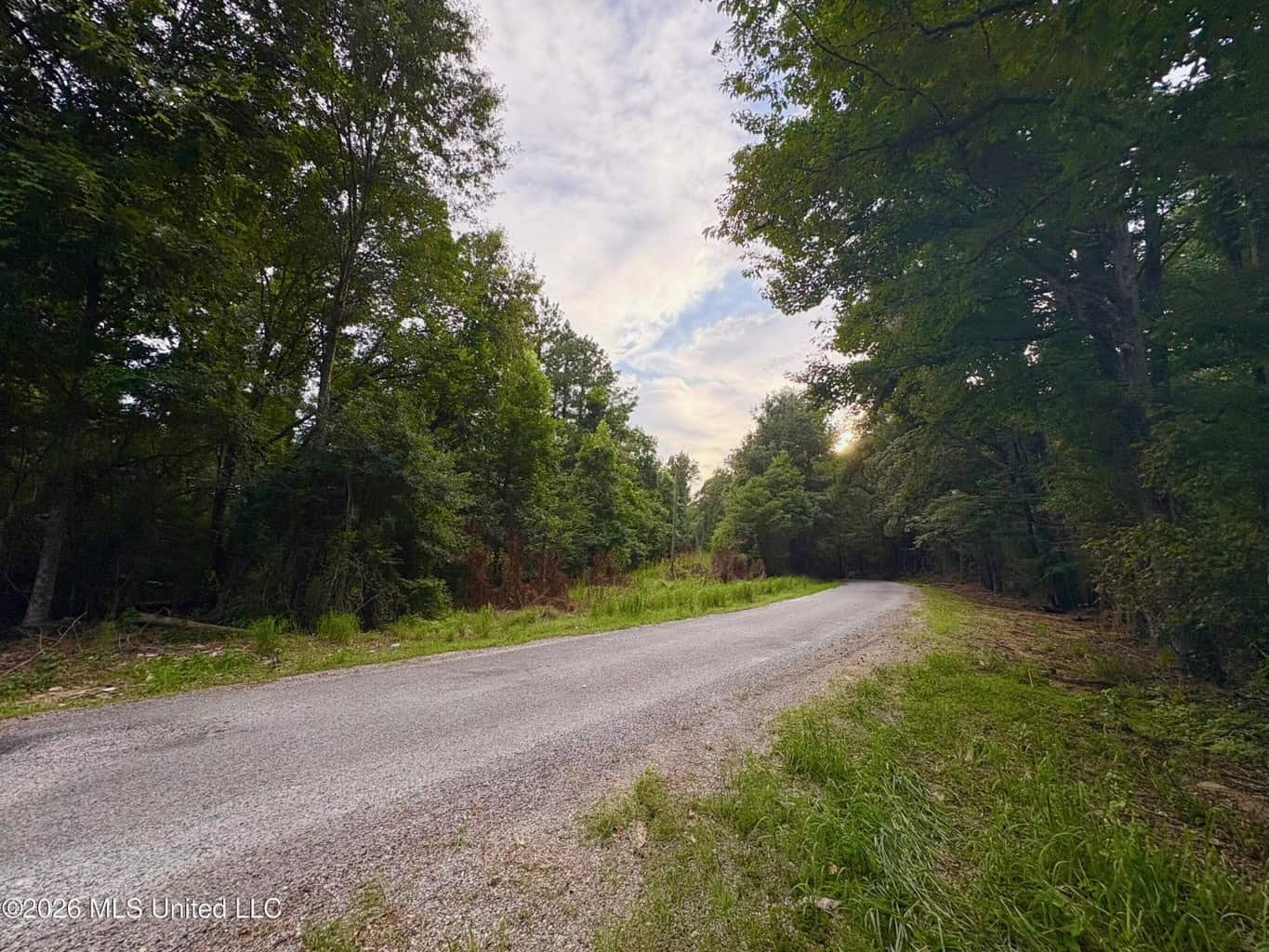 57 Acres Hunting Land for Sale in Gloster MS
