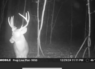 98± Acres in Natchez, MS on Second Creek