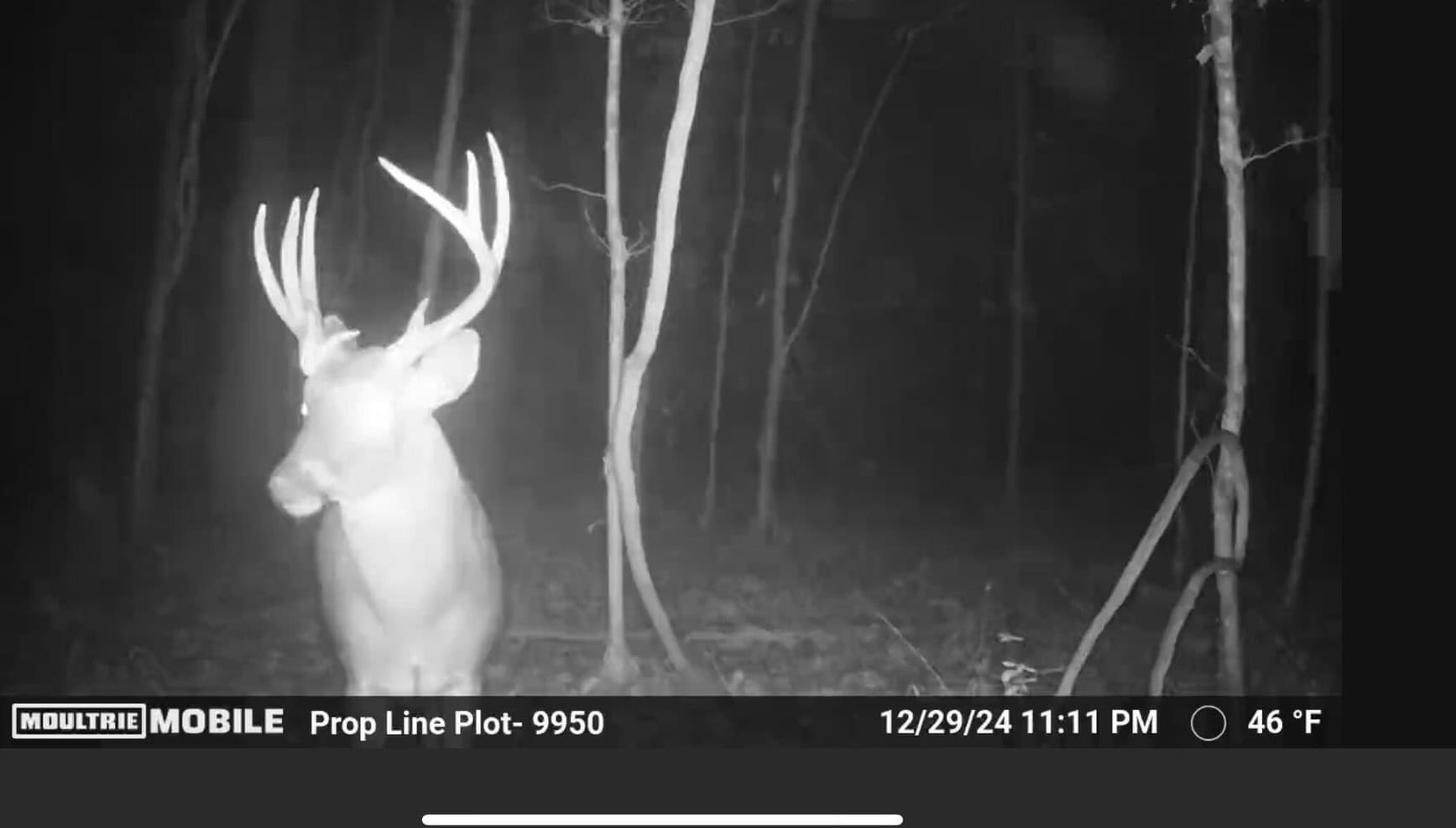 98± Acres in Natchez, MS on Second Creek