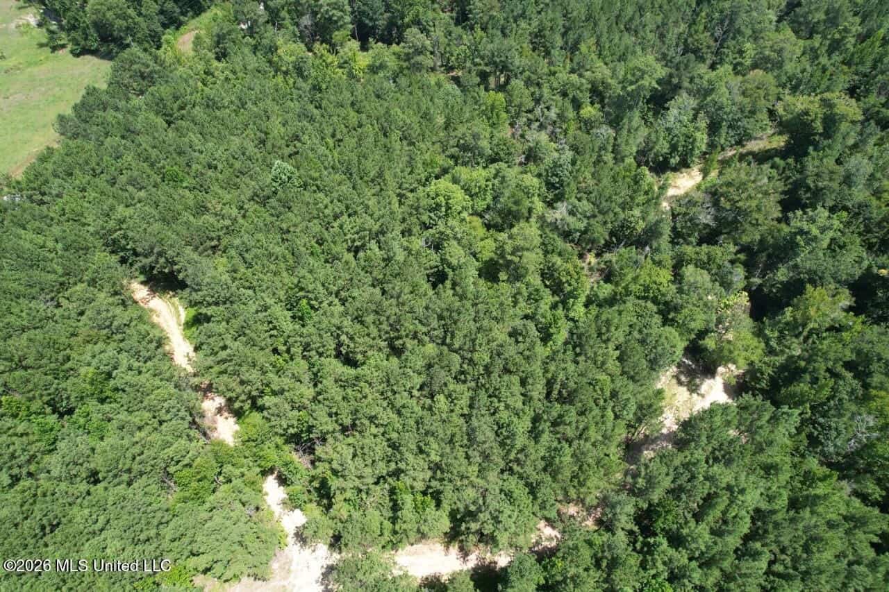 11± Acres in McCall Creek, MS with Creek Frontage