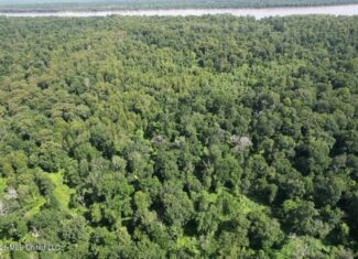 140± Acres in West Feliciana Parish, LA