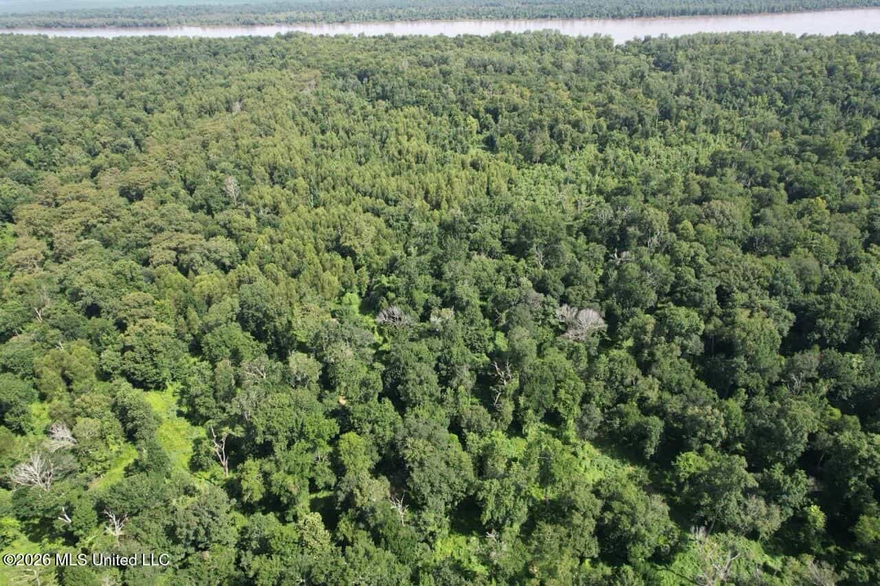 140± Acres in West Feliciana Parish, LA