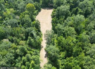 375± Acres in Jefferson County, MS Near Natchez Trace