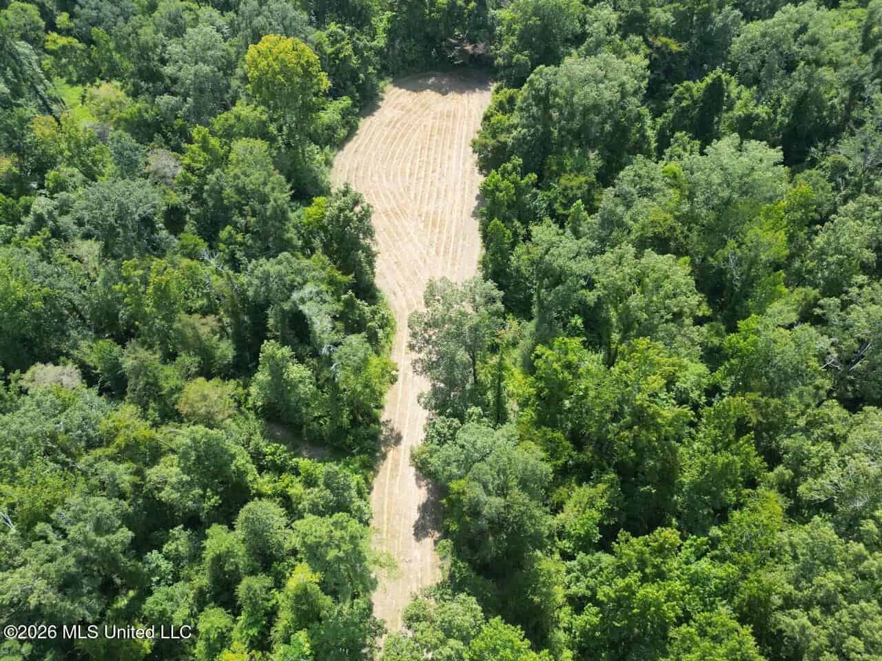 375± Acres in Jefferson County, MS Near Natchez Trace