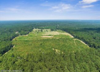 67 Acres of Rolling Pastureland and Timber