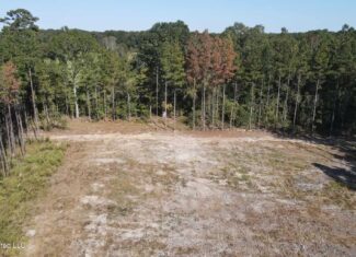 35 Acres for Sale in Pelahatchie, MS | Rankin County