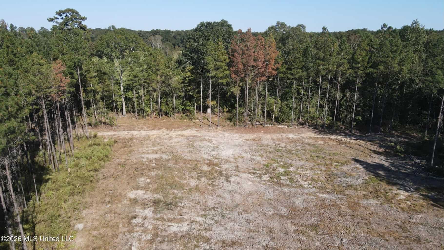 35 Acres for Sale in Pelahatchie, MS | Rankin County