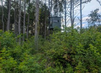 Secluded Turnkey Hunting Property