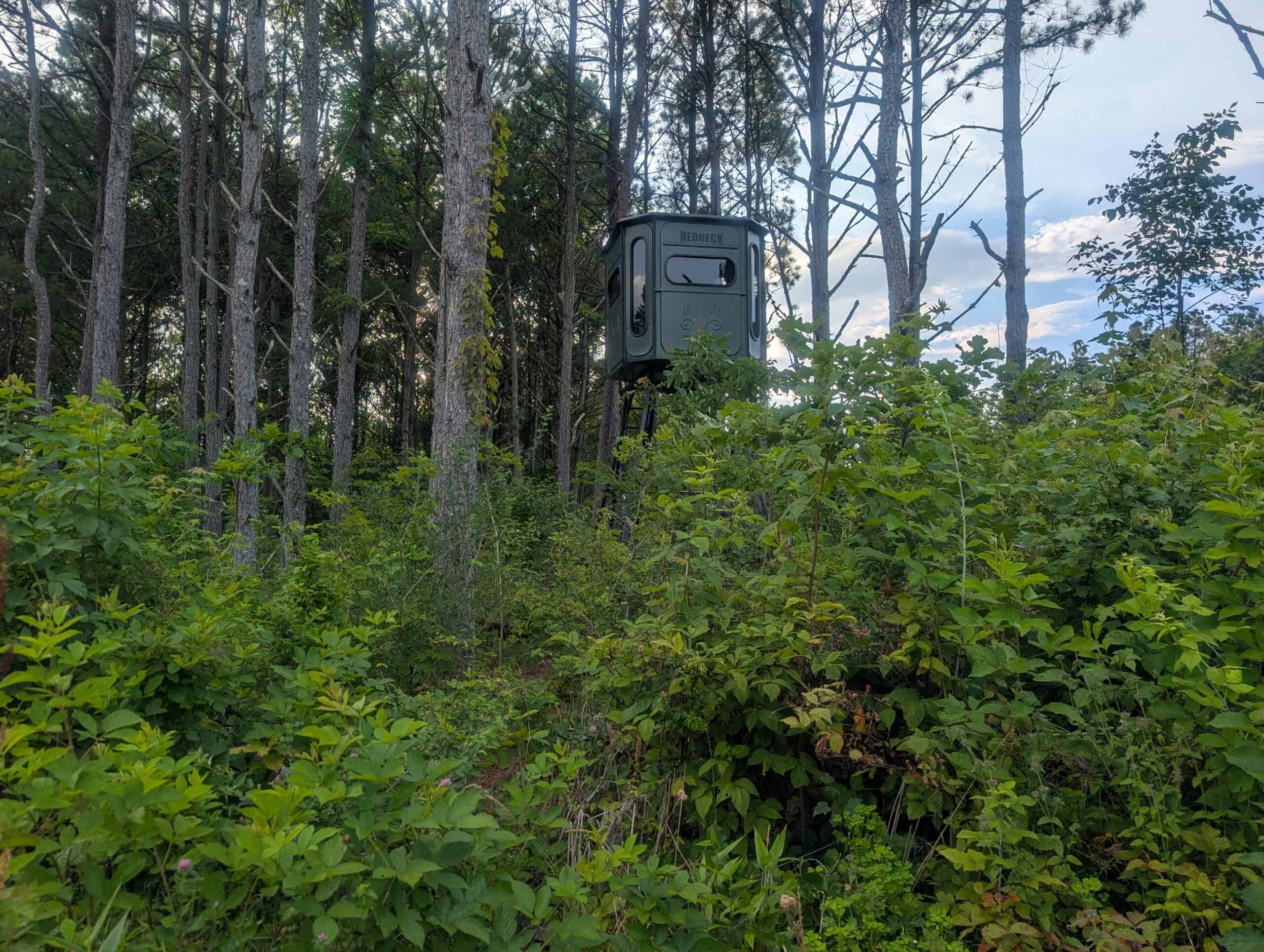 Secluded Turnkey Hunting Property