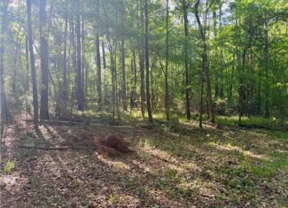 Hunting Property with Hwy and Creek Frontage