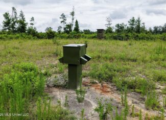 63.75 AC Amite County, MS Hunting Property