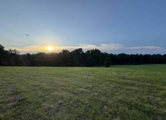 Cotton House Tract: premier 545ac hunting & recreational property in Randolph Cty