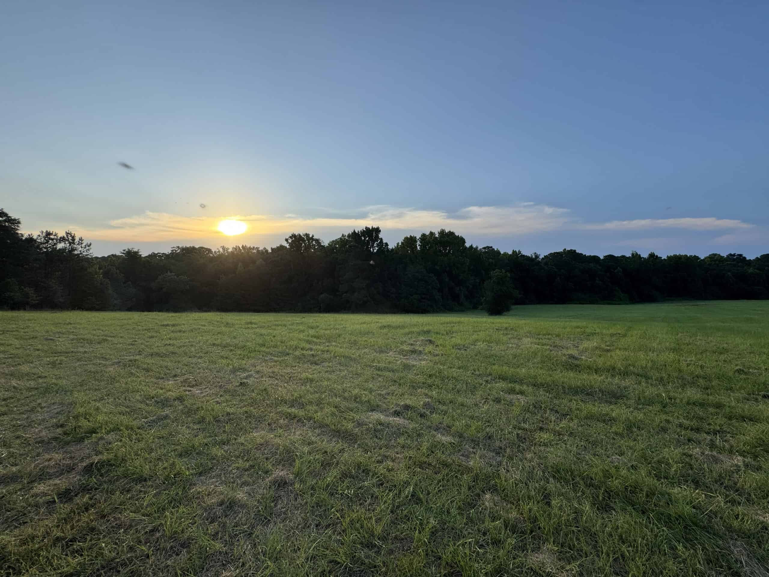 Cotton House Tract: premier 545ac hunting & recreational property in Randolph Cty