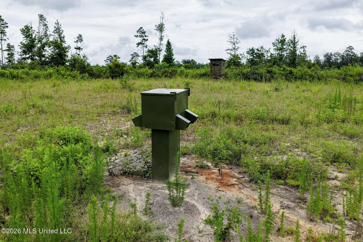 63.75 AC Amite County, MS Hunting Property