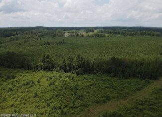 37 Acres for Sale in Morton, MS | Wooded Land