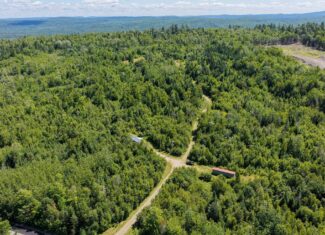 Your Maine Escape – 67 Acres with Cabin, Power, & ATV Access