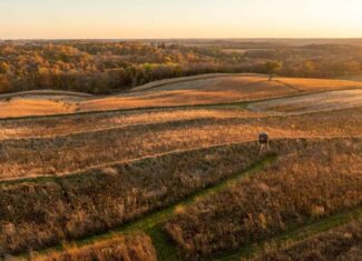 42+/- Acres with 4 Bedroom Home in Decorah IA