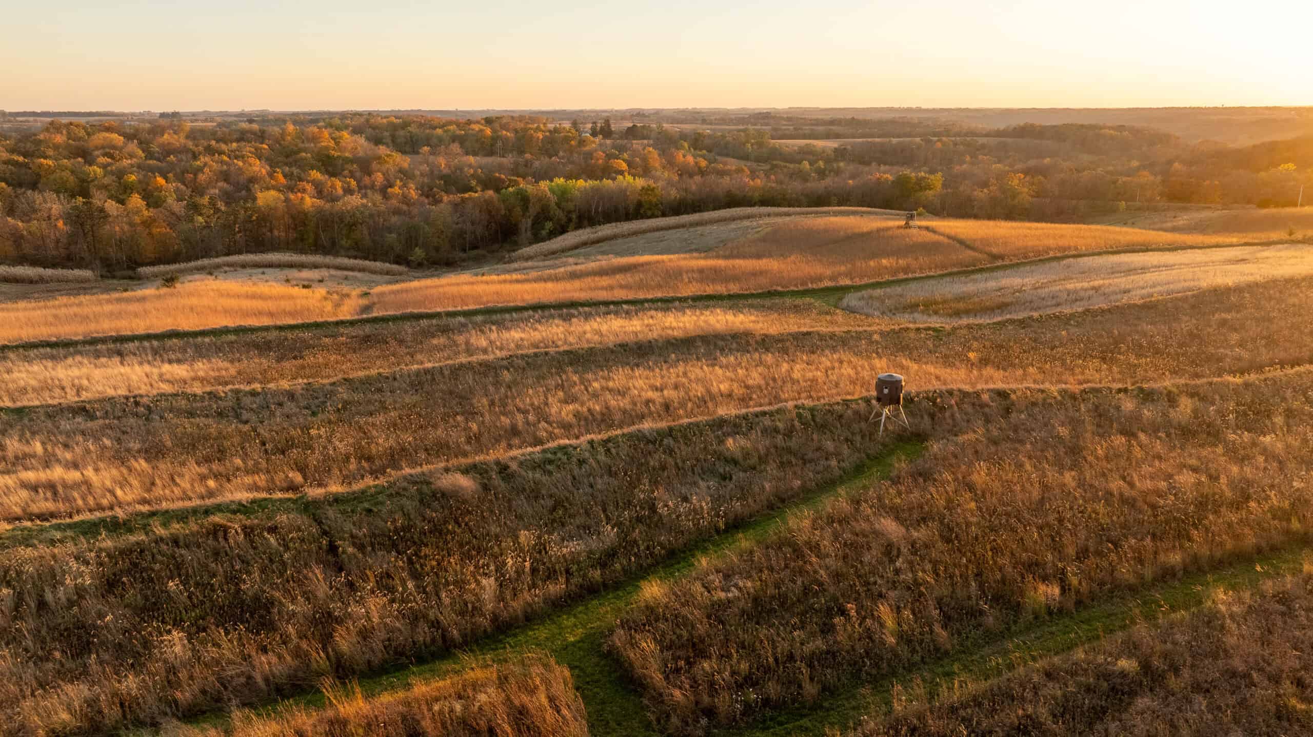 42+/- Acres with 4 Bedroom Home in Decorah IA