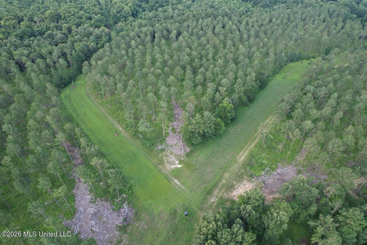 Wilkinson County, MS Hunting Club Membership