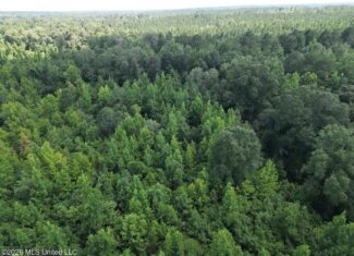 45± Acres in Aimwell, LA with Ford Creek Frontage