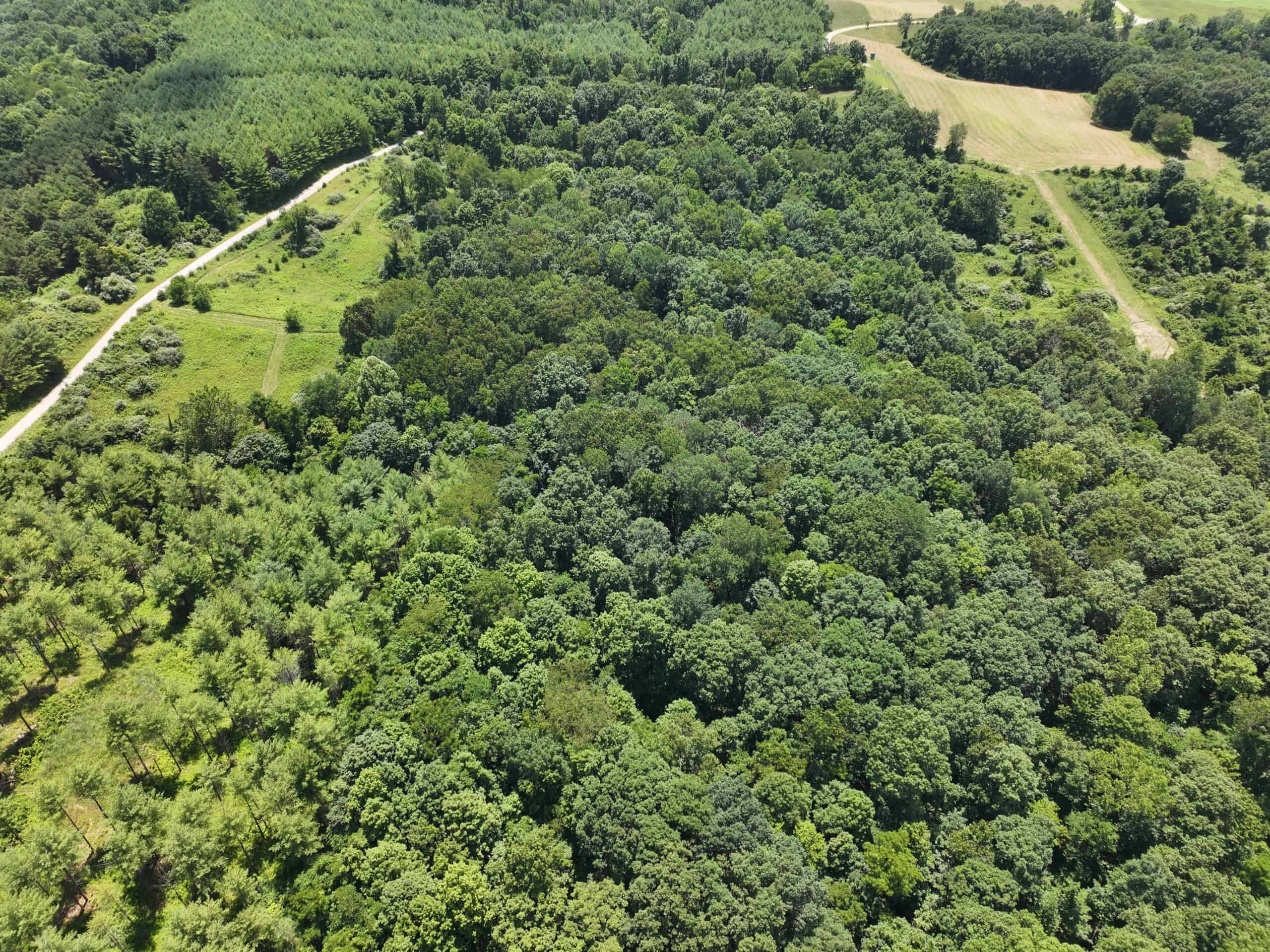 Noble County Investment and Hunting