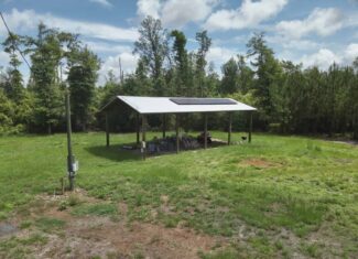 130 Acres on the Chipola River | Hunting, Fishing & Recreation