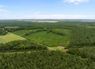 115 Acres of Hunting & Timberland for Sale in NC