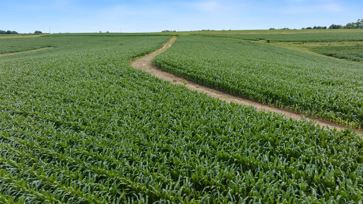 Exceptional 40± acre farm and recreational property