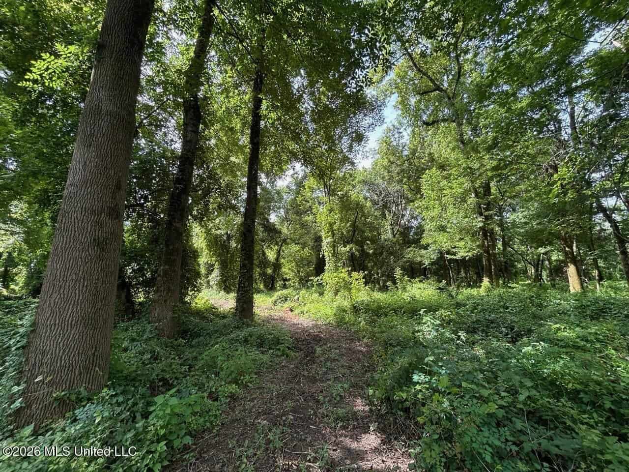 140± Acres in West Feliciana Parish, LA