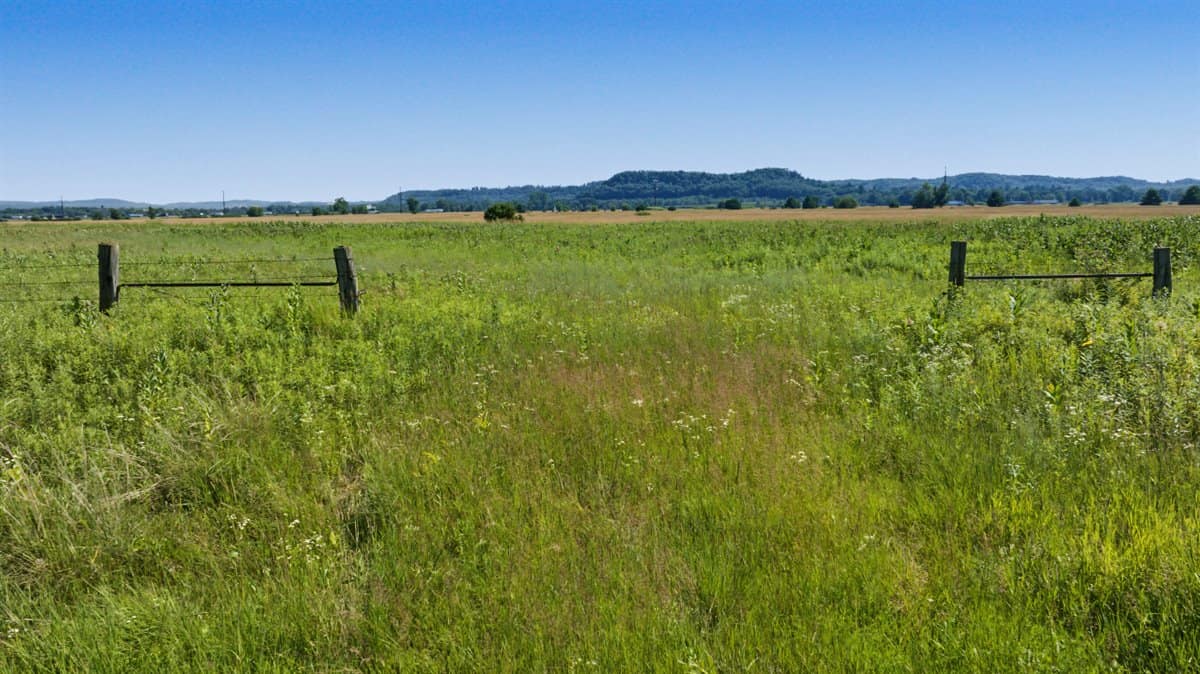 Wisconsin Conservation Land for Sale | 97± Acres in Monroe County