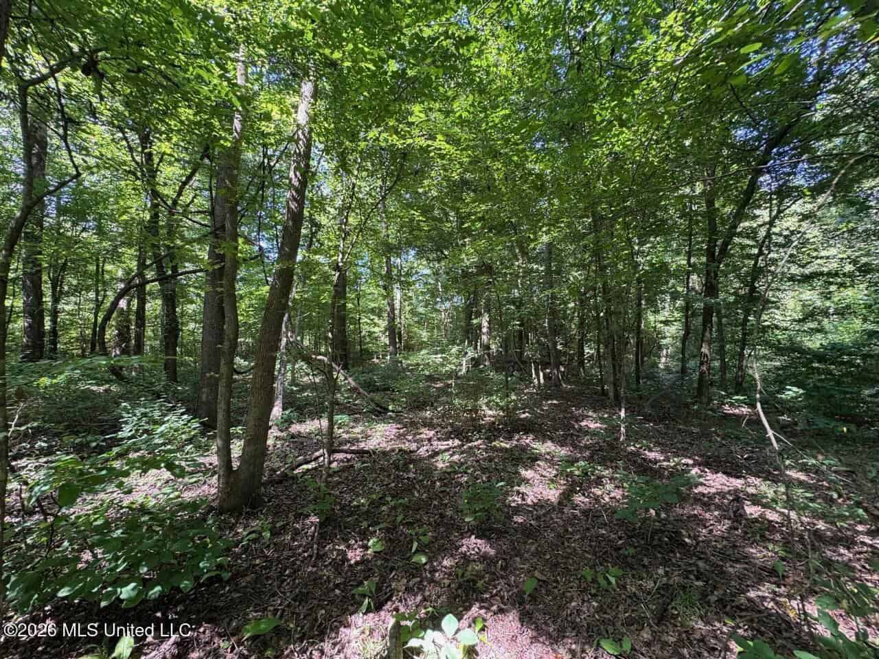 45± Acres in Aimwell, LA with Ford Creek Frontage