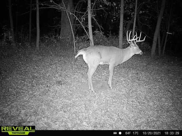 47± Acre Hunting Property with Cabin | Vernon County, Wisconsin