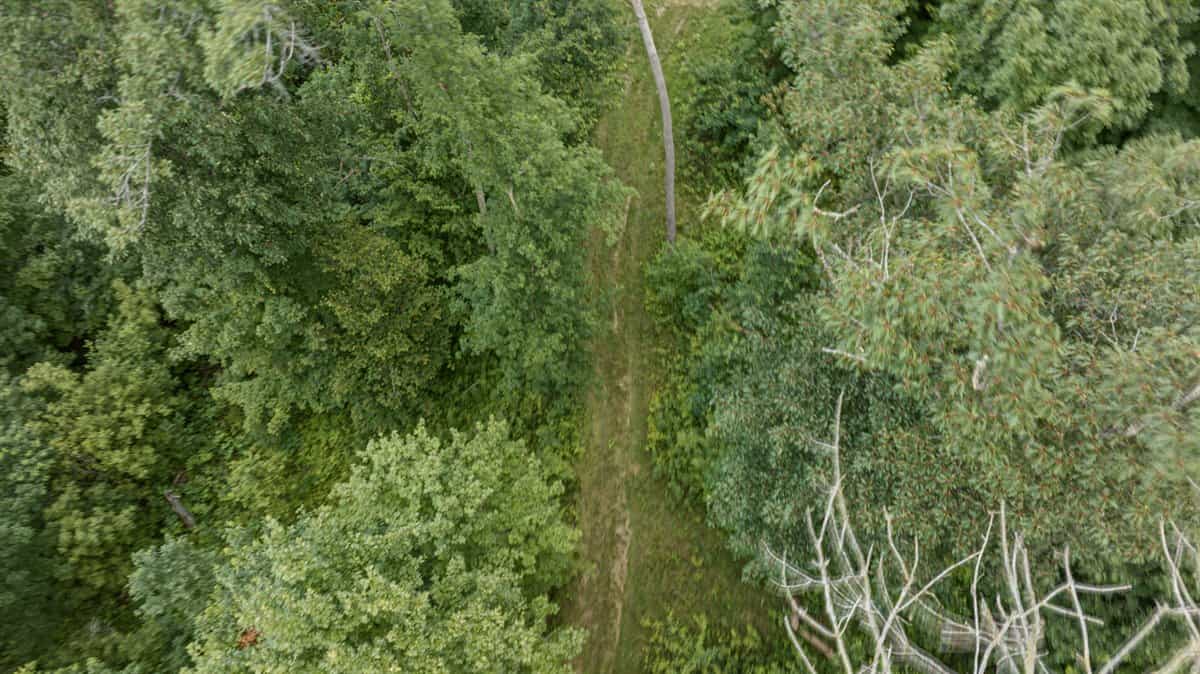 47± Acre Hunting Property with Cabin | Vernon County, Wisconsin