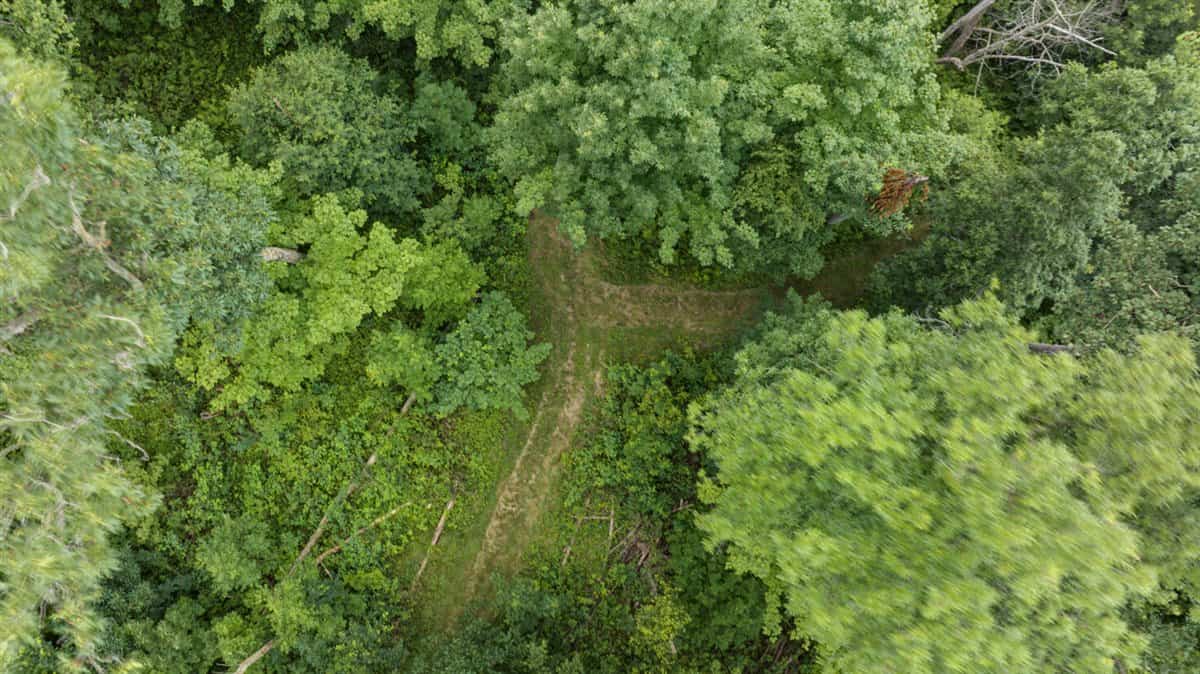 47± Acre Hunting Property with Cabin | Vernon County, Wisconsin