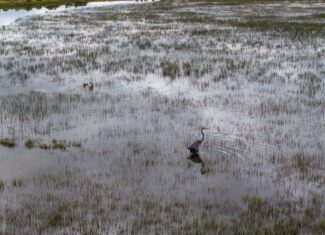 Colorado Alfalfa Farm and Waterfowl Duck Hunting Property