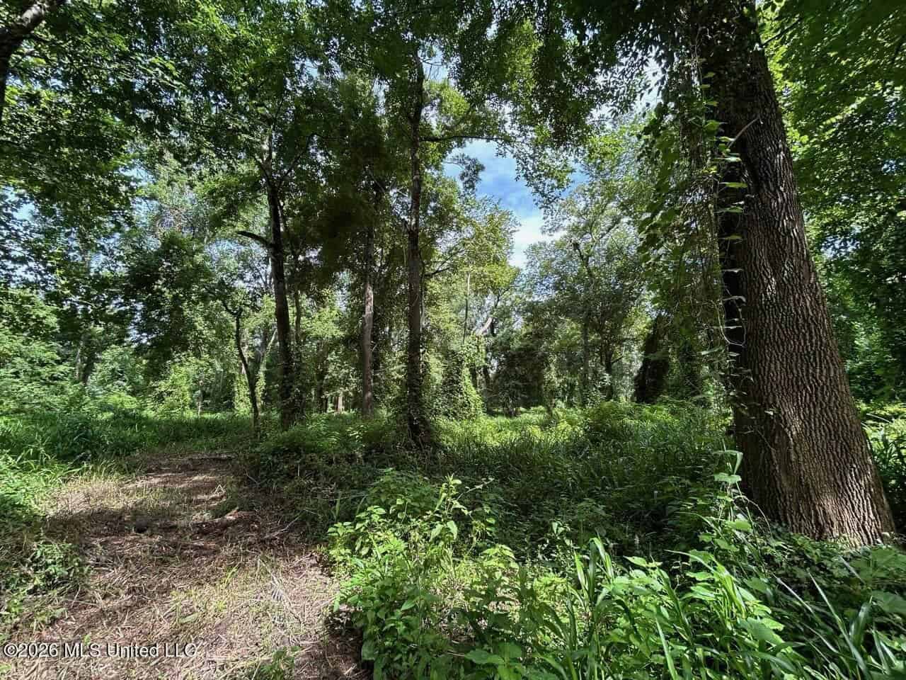 140± Acres in West Feliciana Parish, LA