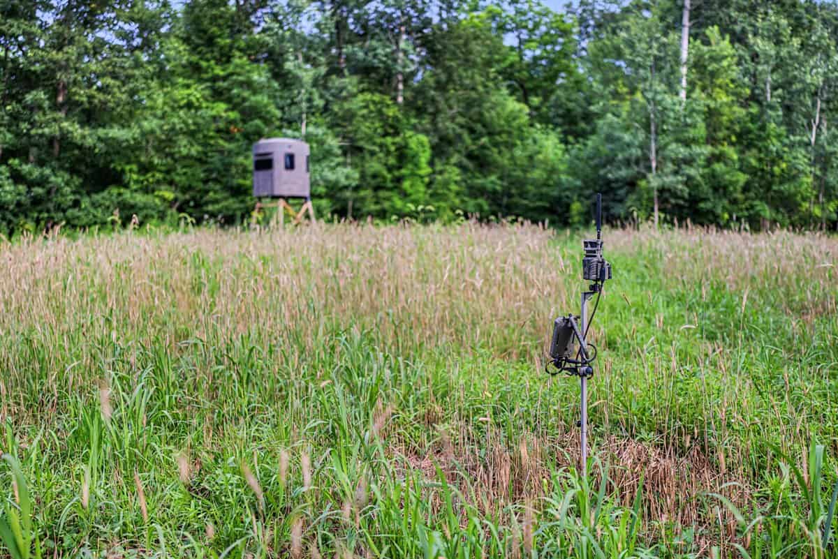 47± Acre Hunting Property with Cabin | Vernon County, Wisconsin