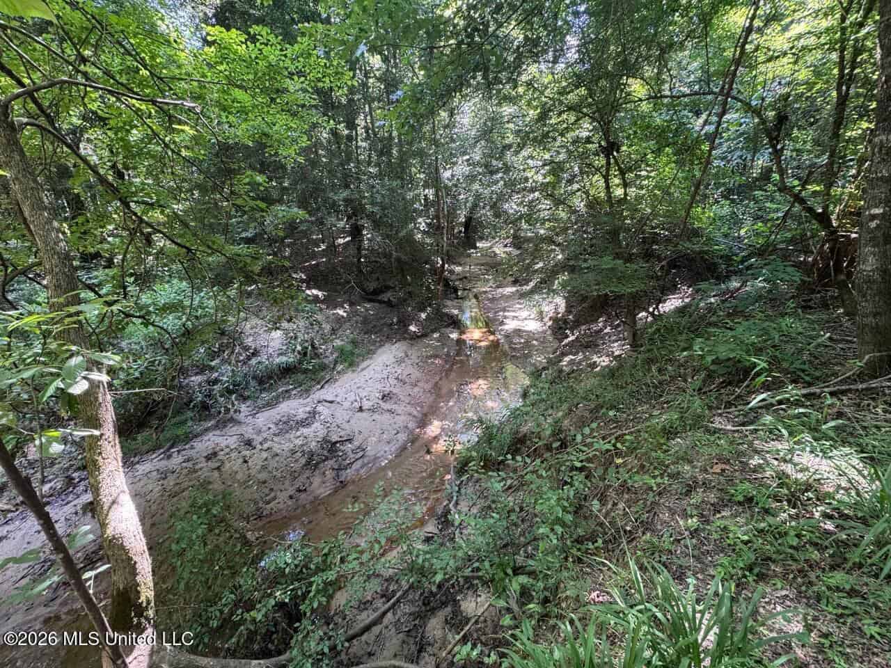 45± Acres in Aimwell, LA with Ford Creek Frontage