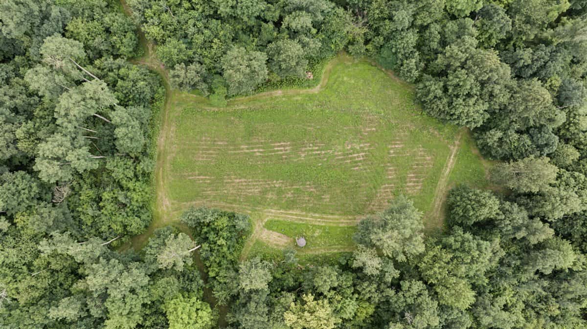 47± Acre Hunting Property with Cabin | Vernon County, Wisconsin