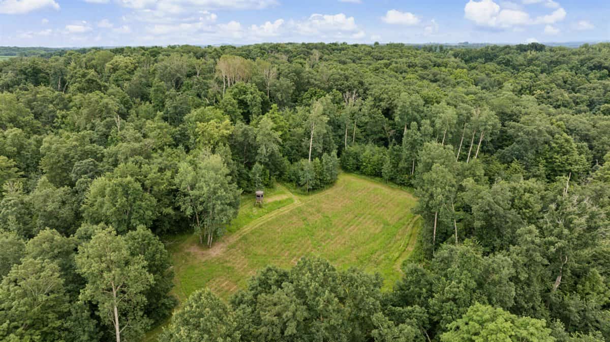 47± Acre Hunting Property with Cabin | Vernon County, Wisconsin