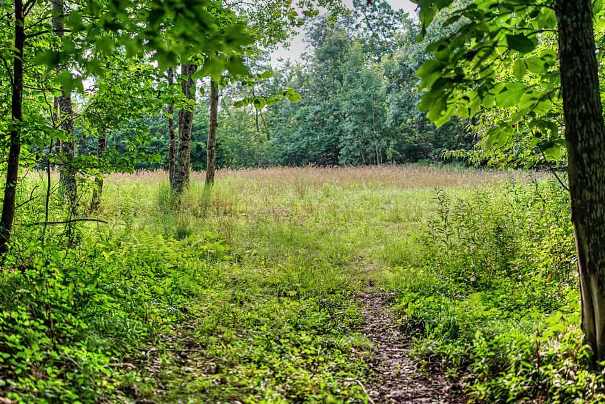 47± Acre Hunting Property with Cabin | Vernon County, Wisconsin