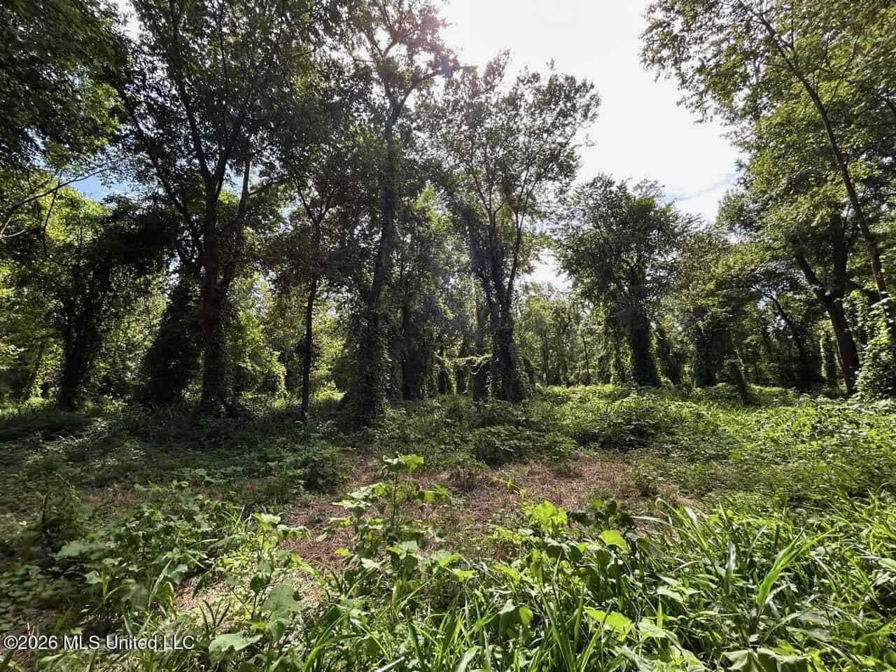 140± Acres in West Feliciana Parish, LA