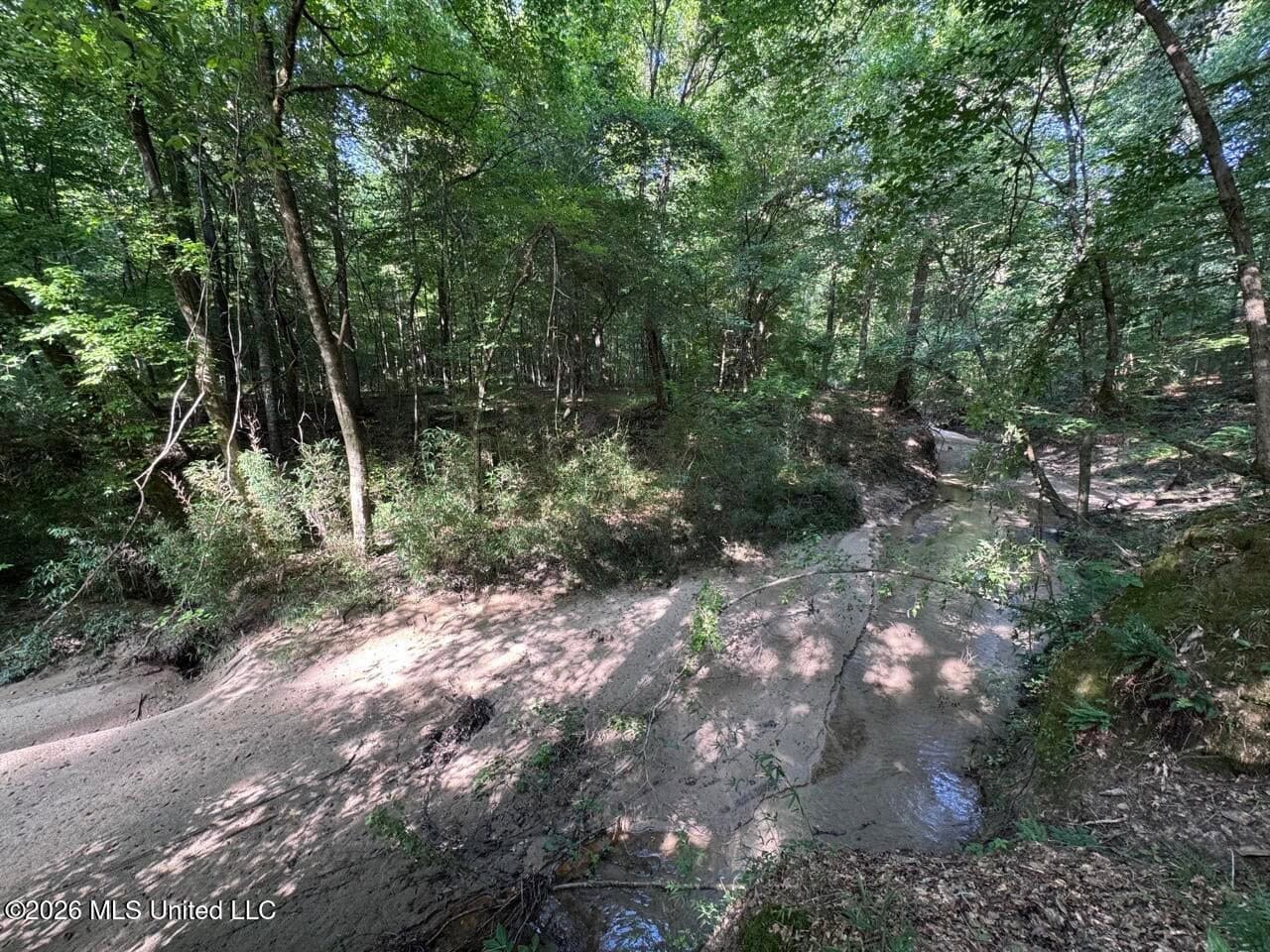 375± Acres in Jefferson County, MS Near Natchez Trace