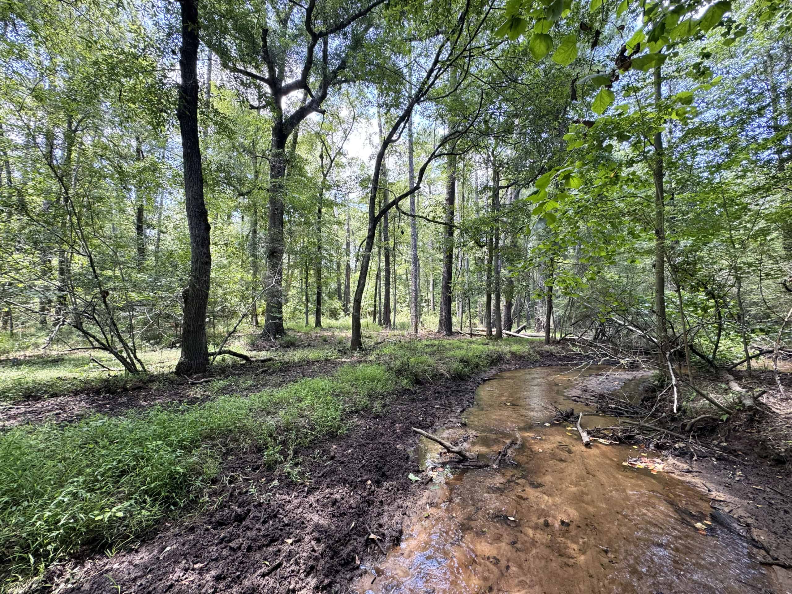 Cotton House Tract: premier 545ac hunting & recreational property in Randolph Cty