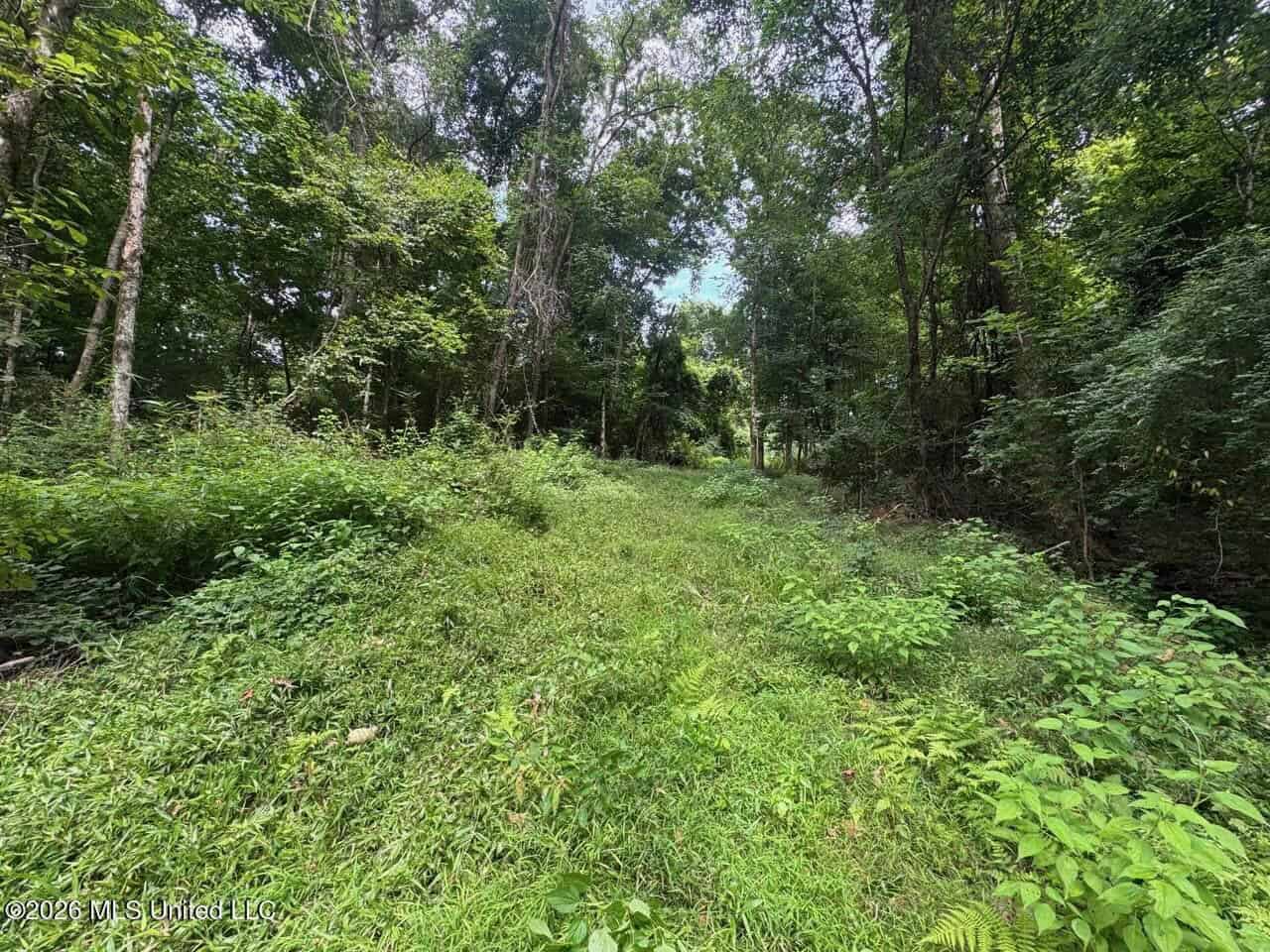 98± Acres in Natchez, MS on Second Creek