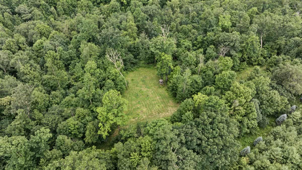 47± Acre Hunting Property with Cabin | Vernon County, Wisconsin