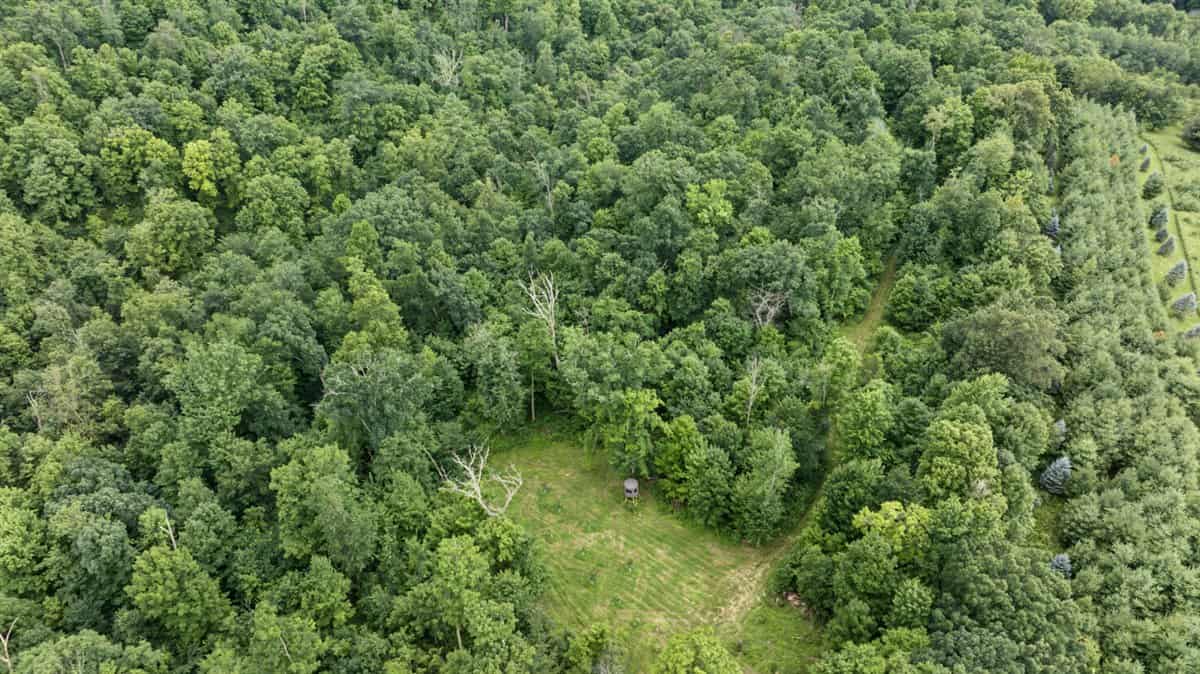 47± Acre Hunting Property with Cabin | Vernon County, Wisconsin