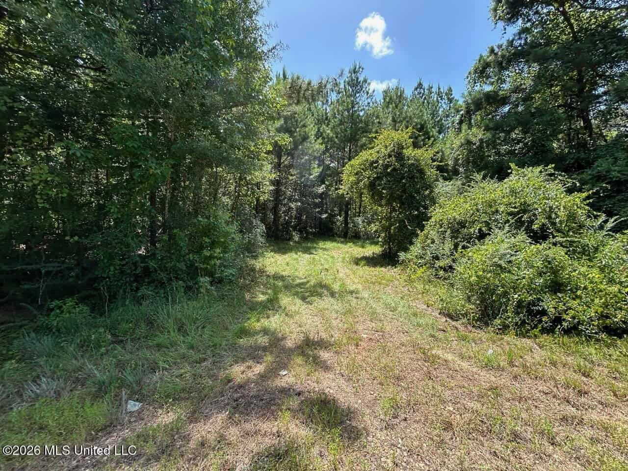 11± Acres in McCall Creek, MS with Creek Frontage